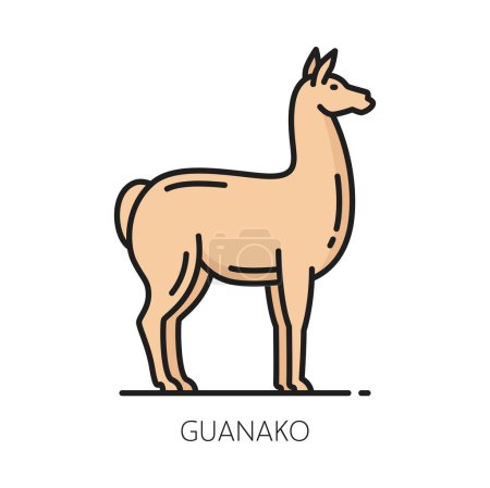 Ilustración de Guanaco lama guanicoe, camélido nativo de América del Sur, icono de la línea de color animal llama. Vector Argentina símbolo de viaje, caballo de guanaco - Imagen libre de derechos