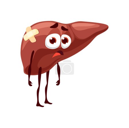 Illustration for Liver sick body organ character. Cartoon vector unhealthy internal organ, anatomical personage with sad face and plaster. Health care medicine, hepatitis disease, liver damage or inflammation sickness - Royalty Free Image