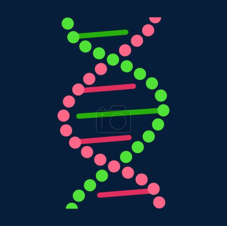 Illustration for Genetic code isolated twisted DNA molecule helix cartoon structure. Vector gene spiral or helical shape chromosome. Chemistry and biology genome - Royalty Free Image