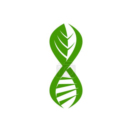 Illustration for Leaf DNA icon, plant symbol. Microbiology lab leaf spiral sign, gene molecule nanotechnology laboratory or biochemistry science DNA helix vector emblem. Plant cell biotechnology research abstract icon - Royalty Free Image