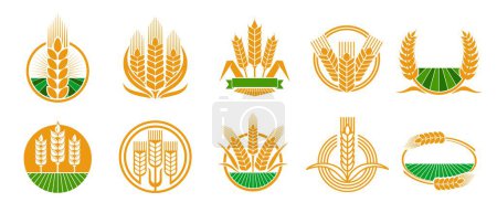 Téléchargez les illustrations : Cereal ear and spike icons of wheat, rye barley and rice millet, vector farm emblems. Bakery bread and flour organic product icons of wheat or rye ear on arable field, farm agriculture and cereal food - en licence libre de droit