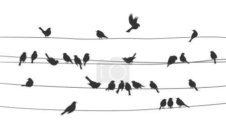 Ilustración de Sparrow and bullfinch birds flock on power line wires, vector silhouette background. Black birds flying and sitting on electric cables of power line in group in row of sparrows and bullfinches - Imagen libre de derechos