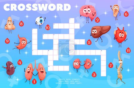 Téléchargez les illustrations : Crossword quiz game grid. Cartoon human organ characters. Funny vector lungs, brain, kidney, spleen, liver, ear, spine, nose, stomach, eyes and heart personages. Kids worksheet for study of anatomy - en licence libre de droit