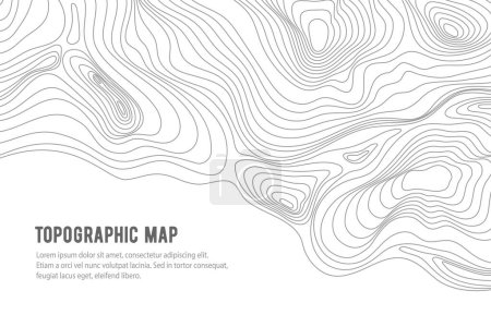 Illustration for Topographic map, grid, texture, relief contour of terrain. Vector pattern background with mountains and flat land wavy line contours. Abstract monochrome topographic map, topography, cartography theme - Royalty Free Image