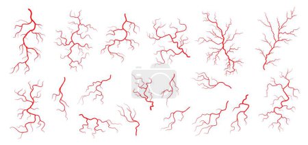 Illustration for Red veins, anatomy, blood vein artery or capillary, vector medical icons. Human body blood veins, eye capillary or hemorrhage vessels and venous blood aortas of vascular and arterial circulation - Royalty Free Image