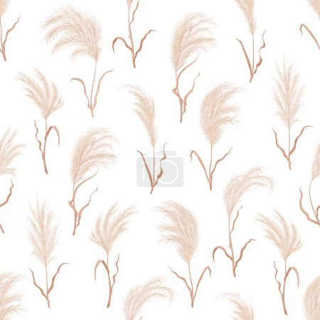 Illustration for Pampass grass seamless pattern. Vector repeated background with plant branches. Tiled texture with dry panicle cortaderia selloana. Floral ornament with wild herbs. Flowers with feather head plumes - Royalty Free Image