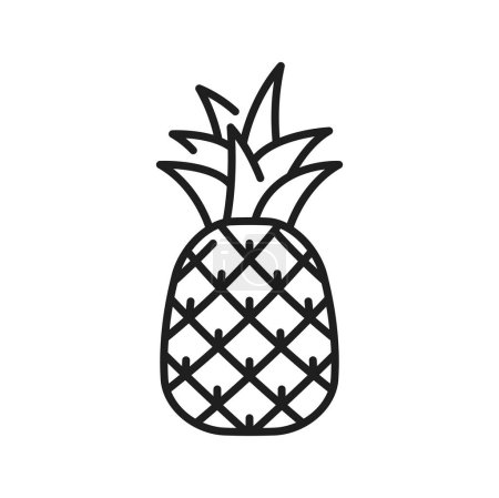 Illustration for Ananas or pineapple tropical fruit isolated thin line icon. Vector exotic pineapple with leaves, tropical food snack. Summer juicy vegetarian ripe dessert - Royalty Free Image