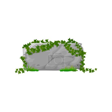 Illustration for Ivy hedera climbing vines on block panel, ui gui game asset interface board. Vector cartoon forest ivy leaves on rock and stone, signboard - Royalty Free Image