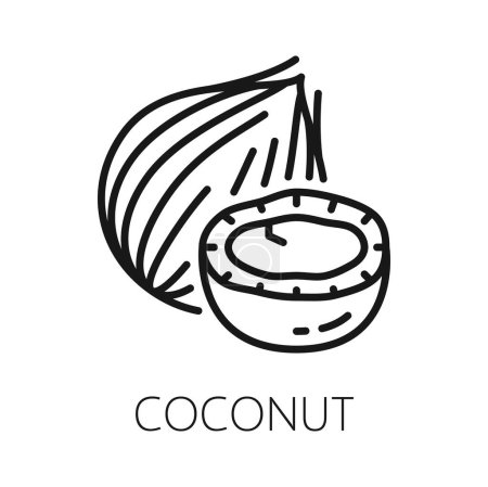 Illustration for Coconut fruit in hard shell isolated coco nut outline icon. Vector exotic food, tropical palm tree nut, oil and milk drink ingredient - Royalty Free Image