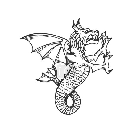 Illustration for Heraldic Medieval creature sketch, fantasy dragon or mythic animal, vector heraldry symbol. Heraldic rampant dragon with eagle head and mermaid fish tail on wings with claws, Medieval fantasy creature - Royalty Free Image