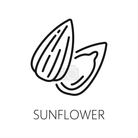 Illustration for Sunflower unpeeled black seed in shell isolated outline food snack icon. Vector natural oil ingredient, nutrition dieting sunflower seed, superfood - Royalty Free Image