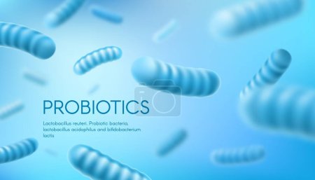 Probiotische Bakterien, Lactobacillus Acidophilus und Bifidobacterium. Humanes Mikrobiom, Brobiotika für das Immunsystem Gesundheit realistischer Vektorhintergrund oder Banner mit Bifidus-Bakterien, Mikroorganismus-Zelle