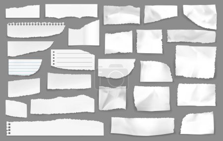 White torn paper. Paper rip piece scraps. Vector blank notes with lines and perforation. Ragged textured memo sheets with holes for spiral. Isolated realistic 3d wrinkled crumples, notebook shreds set