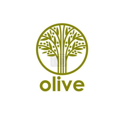 Téléchargez les illustrations : Symbole d'olivier, étiquette d'huile d'olive et signe vecteur de restaurant d'aliments ou de cuisine biologiques. Silhouette d'olivier vert en cercle pour huile d'olive extra vierge, éco-alimentaire naturelle et icône des produits biologiques - en licence libre de droit
