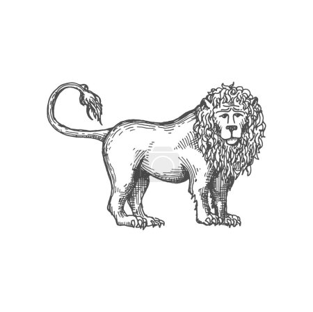Ilustración de Icono de boceto de león heráldico real. Vector rey de los animales, símbolo de coraje y fuerza. Majestuoso Leo, gato africano furioso, criatura mitológica - Imagen libre de derechos