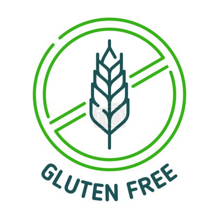 Illustration for Gluten free icon, sign of grain wheat for food stamp, vector symbol. Cereal gluten product allergy and intolerance label for healthy gluten free bread and sensitive food diet, green line icon - Royalty Free Image