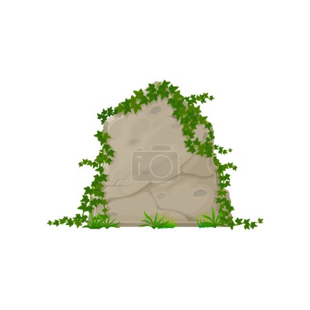 Illustration for Stone board with ivy leaves, cartoon climping hedera on jungle rock panel. Vector border with natural ive branches, garden summer foliage on stone - Royalty Free Image