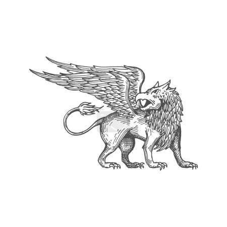 Ilustración de Criatura mitológica Griffin con cabeza de águila, cuerpo de león y alas de águila icono de boceto aislado. Vector mitológico animal, antiguo grifo antiguo pájaro - Imagen libre de derechos