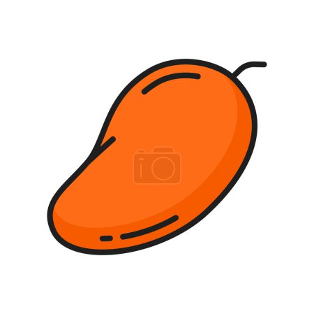 Ilustración de Mango naranja fruta cruda aislado color línea icono. Vector dulce tropical mano dibujado fruta fresca de verano, comida vegetariana, mango postre exótico - Imagen libre de derechos