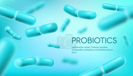 Probiotic bacteria, lactobacillus acidophilus and bifidobacterium, vector background. Probiotic bacteria prebiotics, healthy microorganism bacterium for gut health and digestion with bifidobacterium
