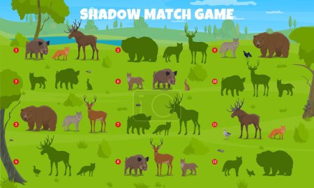 Illustration for Shadow match game. Find similar silhouette of forest animals and birds. Vector game, riddle worksheet with wolf, boar, bear and deer, fox, hare, elk or lynx, and duck wildlife beasts on green lawn - Royalty Free Image