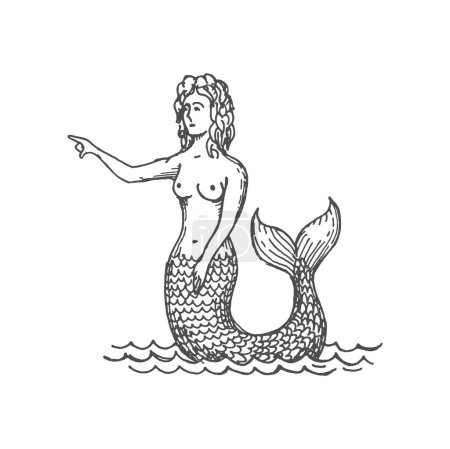 Ilustración de Joven sirena con concha marina aislada criatura fantasía submarina con cola y pelo largo. Boceto vectorial de sirena mujer mística con cola de pez - Imagen libre de derechos