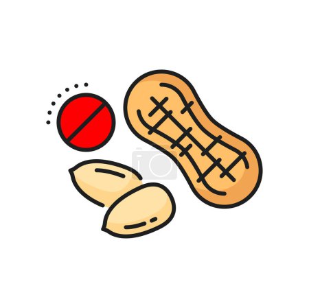 Illustration for Peanut allergy color line icon. Food product allergy, nutrition ingredient intolerance line vector pictogram. Nut allergen or allergic diet prohibition, caution simple icon or sign with peeled peanuts - Royalty Free Image