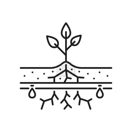Illustration for Plant seedling drip watering, field irrigation icon. Agriculture irrigation equipment, farm watering automatic system line vector sign. Gardening, farmland water sprinkling technology symbol or icon - Royalty Free Image