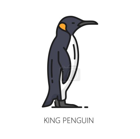 Illustration for King or emperor penguin isolated color line icon. Vector large flightless seabird of South America, king penguin animal, atlantic gentoo creature - Royalty Free Image