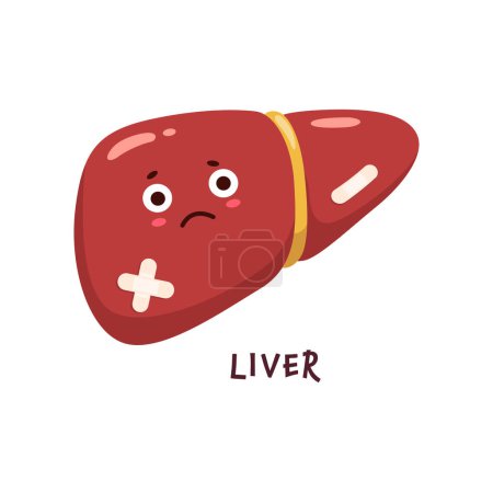 Illustration for Liver sick, body organ character injured or unhealthy, cartoon vector personage. Fatty liver disease or hepatic illness infection, unhealthy sad liver with medical patch on hepatitis or cirrhosis - Royalty Free Image