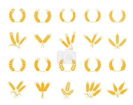 Illustration for Spikes of wheat, rye and barley, laurel wreath with cereal ears, vector bakery icons. Bread products and baked food symbols of cereal ear spikes or wheat, rye or barley for organic muesli or pastry - Royalty Free Image