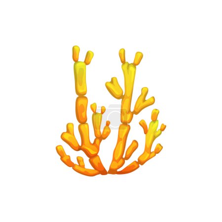 Illustration for Cartoon underwater seaweed plant. Aquarium and sea algae. Underwater plant, coral reef undersea algae or ocean water deep weed, aquarium or tropical sea isolated vector marine flora seaweed - Royalty Free Image