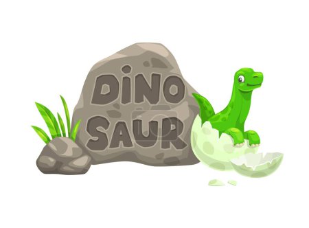 Ilustración de Dinosaurio bebé de dibujos animados y dino recién nacido en huevo. Lagarto prehistórico, dinosaurio extinto o paleontología reptil mascota vector cómico. Personaje de dinosaurio bebé brontosaurio adorable aislado en cáscara de huevo - Imagen libre de derechos