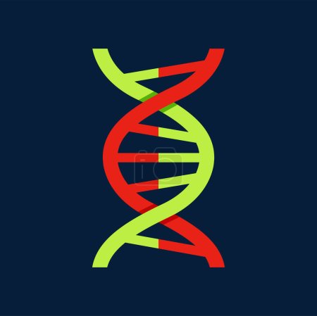 Téléchargez les illustrations : Icône de molécule d'ADN isolé élément de code génétique. Spirale moléculaire vectorielle, structure métallique microbiologique et biochimique, chromosomes tordus - en licence libre de droit