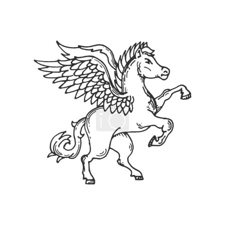 Ilustración de Pegaso animal heráldico medieval boceto de vector alado caballo. Heráldica real de reino antiguo, escudo de armas, insignia o elemento de cresta de caballo volador pegaso dibujado a mano con alas de plumas - Imagen libre de derechos