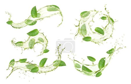 Illustration for Green herbal tea splashes with mint leaves, menthol, peppermint or matcha, vector realistic drink splash. Green tea leaf in splashing water flow swirl, ice tea or lemonade beverage with drops splatter - Royalty Free Image