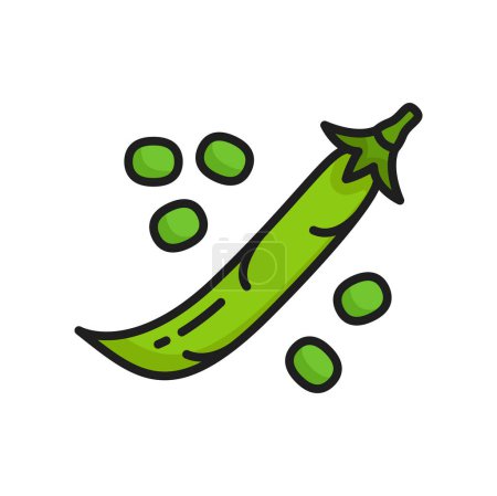 Ilustración de Vaina verde de guisante o legumbre de frijol de riñón aislado icono de línea de color de alimentos vegetarianos crudos. Vector superalimento planta, frijol común en vaina cerrada - Imagen libre de derechos