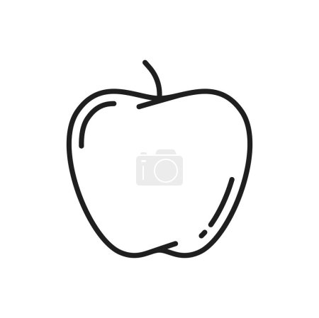 Ilustración de Fruto de manzana con tallo y hoja aislado icono de línea delgada. Postre de verano vectorial, aperitivo vegetariano ecológico para dietas de manzana, fruta natural. Alimento nutricional afrutado - Imagen libre de derechos