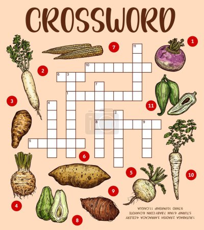 Illustration for Raw isolated vegetable sketches. Crossword puzzle worksheet. Word quiz, vector riddle with corn, radish and arracacia, rutabaga, caigua and cyclanthera, celery, chayote, yam and taro, turnip, parsnip - Royalty Free Image