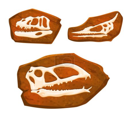 Téléchargez les illustrations : Ancien fossile, crânes de dinosaures empreintes dans la pierre. Couches vectorielles de terre avec des os. Fouilles archéologiques et paléontologiques de crânes de dino. Etudes de créatures et d'animaux préhistoriques - en licence libre de droit