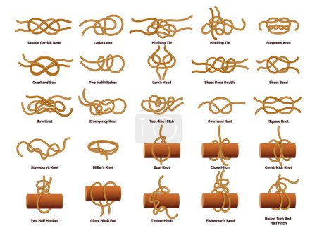 Illustration for Sailing ship rope knots, nautical sailor tie and bow. Double carrick bend, lariat loop, hitching tie, surgeons and overhand bow, two half hitches, larks head, sheet bend double vector sailing knot set - Royalty Free Image