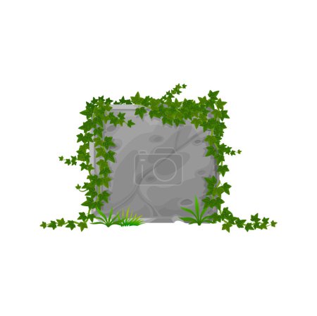 Illustration for Border with natural ive branches, garden summer foliage on stone. Vector stone board with ivy leaves, cartoon climping hedera on jungle rock panel - Royalty Free Image