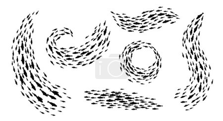 Illustration for Shoal and fish school silhouettes. Marine and underwater life, ocean nature and ecology, seafood and fishing industry vector symbols or background with tuna or salmon fish line, round and wave shoals - Royalty Free Image