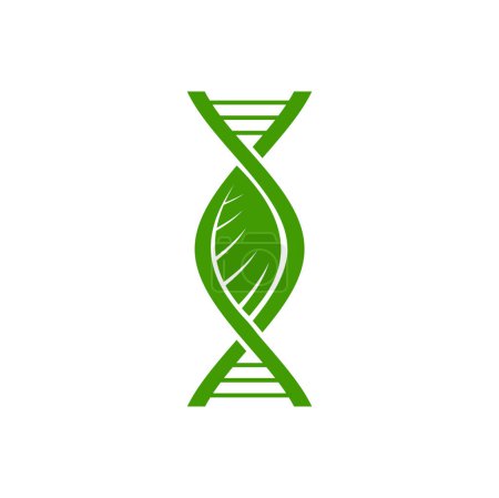 Téléchargez les illustrations : Icône de l'ADN végétal, hélice du gène vert et de la feuille, symbole vectoriel de la recherche biotechnologique, de la nature, de la biologie et de la médecine. ADN cellulaire végétal, hélice chromosomique avec signe de feuille verte, génétique organique - en licence libre de droit