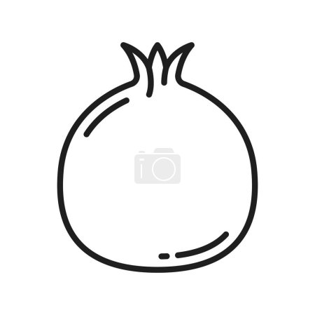 Téléchargez les illustrations : Grenade isolée icône de ligne de fruits d'été. Vecteur de fruits interdits symbole de Rosh Hashanah, collation saine exotique, nourriture de grenade mûre juteuse - en licence libre de droit