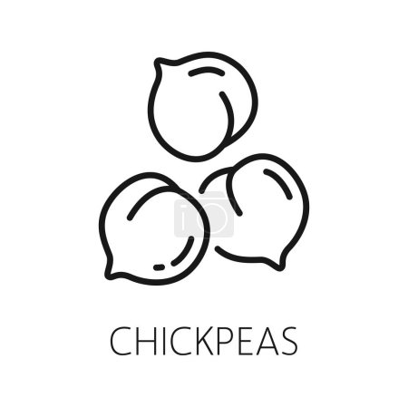Illustration for Ckickpea organic healthy food isolated outline icon. Vector chick pea superfood, bengal beans, protein snack, vegetarian peas - Royalty Free Image