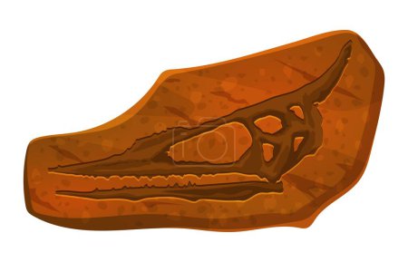 Illustration for Flying dinosaur skull fossil imprint in stone. Prehistoric animal skeleton section archaeological find, pterosaur dinosaur body piece stone imprint or extinct lizard head science museum vector fossil - Royalty Free Image