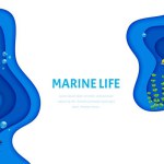 Landing page cartoon tropical sea paper cut landscape with turtle, seaweeds, fish shoal and starfish. 3d vector web banner with vibrant underwater world, complete with colorful marine life and scenery