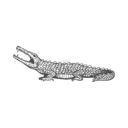Illustration for Crocodile ancient aztec animal isolated alligator sketch reptile icon. Vector vintage sea monster, retro crocodile with sharp teeth and claws - Royalty Free Image