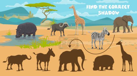 Téléchargez les illustrations : Trouvez l'ombre correcte des animaux de savane africaine, quiz vectoriel enfants. Trouvez et assortissez la même silhouette d'éléphant, de zèbre et de rhinocéros ou de girafe et de buffle en Afrique savane, feuille de calcul de jeu de puzzle - en licence libre de droit